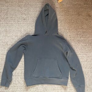 Aritzia TNA hoodie